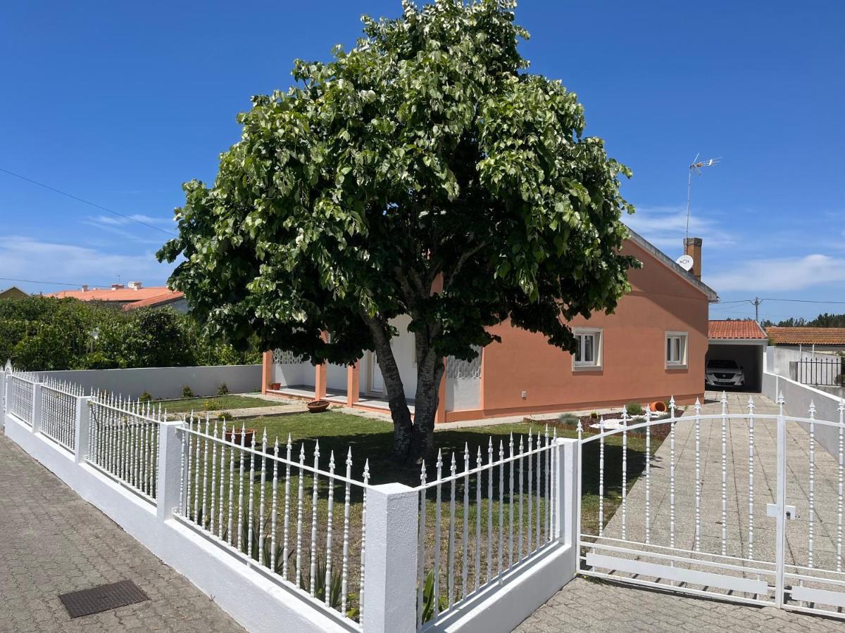 Moradia Alegre No Centro Da Vila Da Tocha. Eksteriør bilde